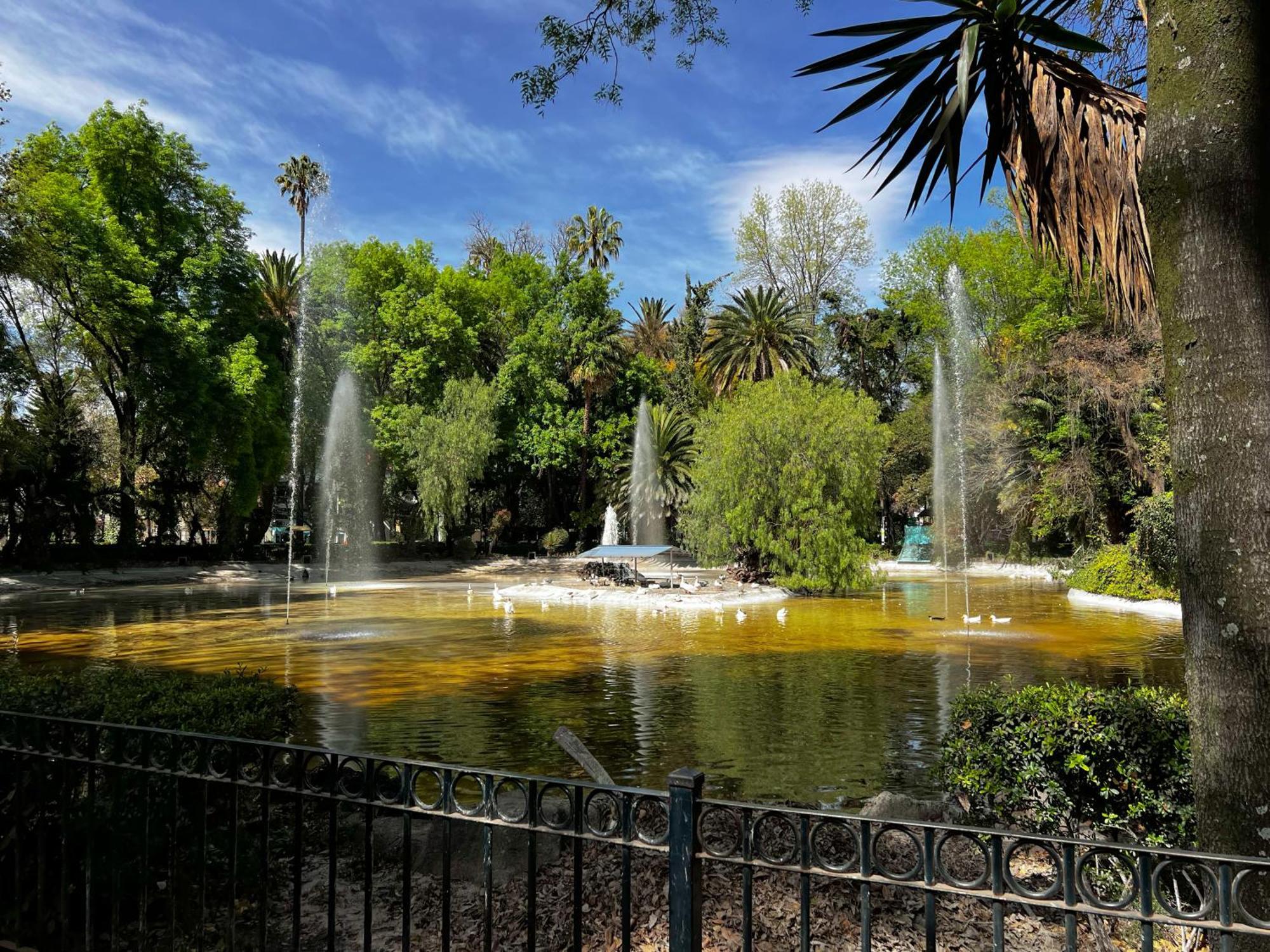 Discover Condesa Ideal Location Maison d'hôtes