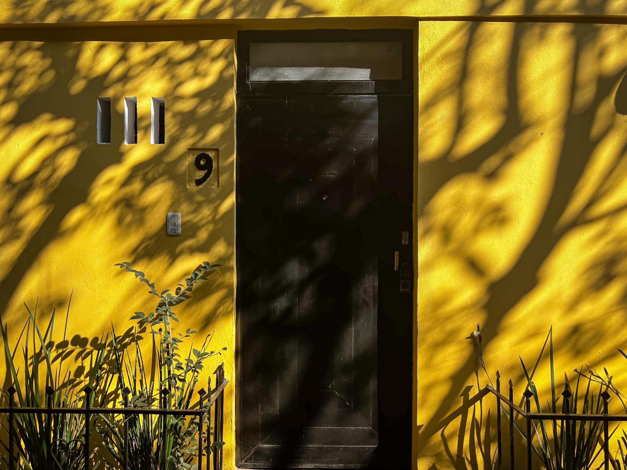 Maison d'hôtes Discover Condesa Ideal Location *