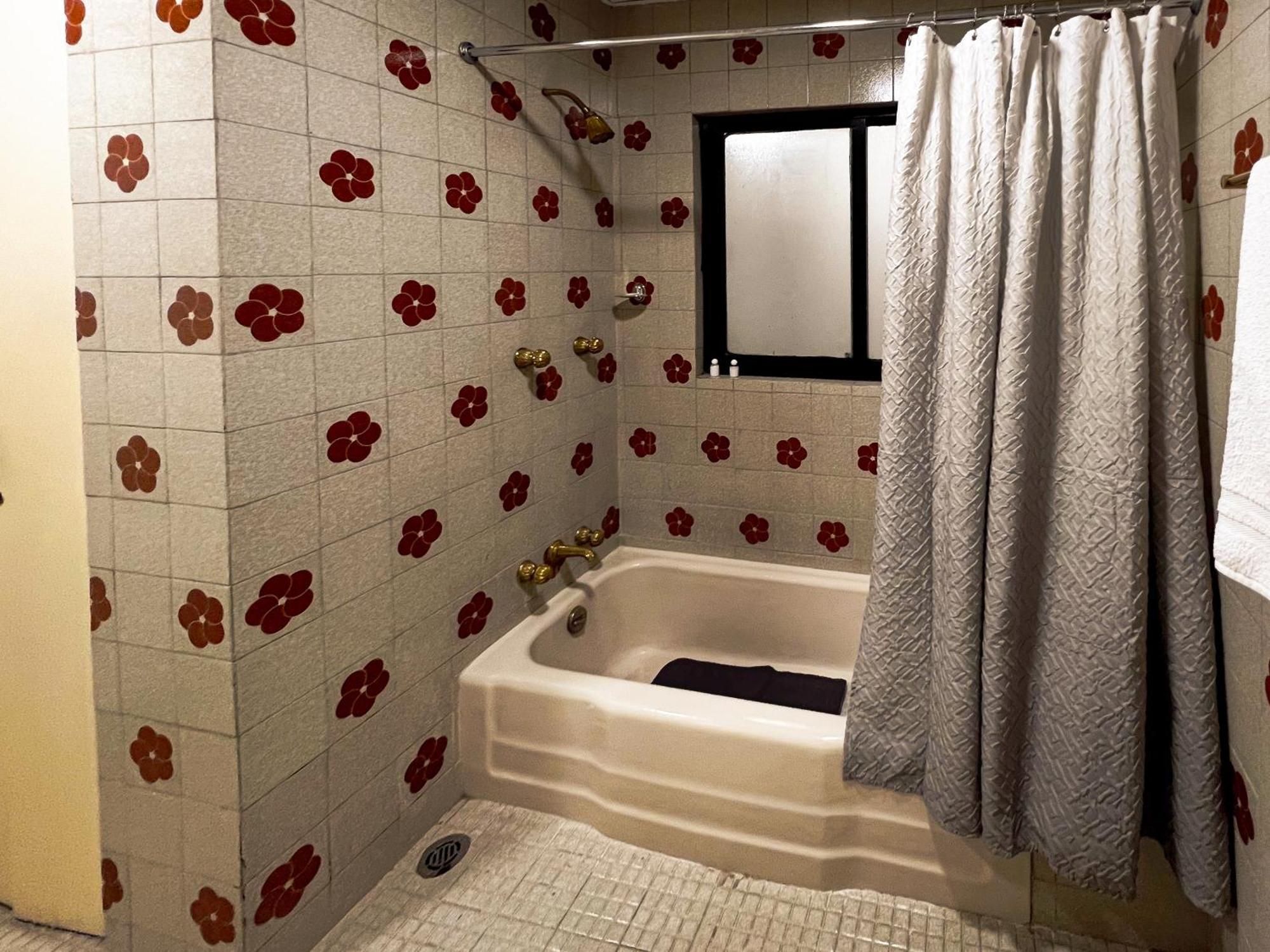 Discover Condesa Ideal Location Maison d'hôtes *