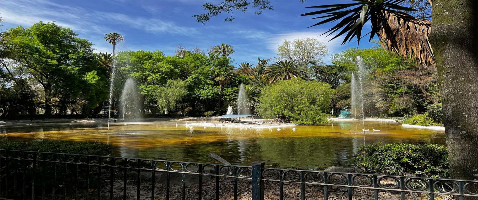 Discover Condesa Ideal Location Maison d'hôtes Mexico